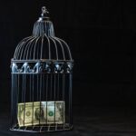 A dollar bill imprisoned in a decorative cage symbolizing financial confinement.