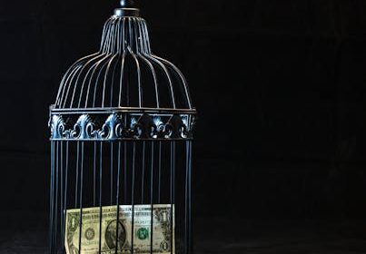 A dollar bill imprisoned in a decorative cage symbolizing financial confinement.